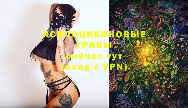 скорость Алексеевка