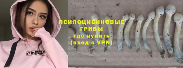 спиды Алексин