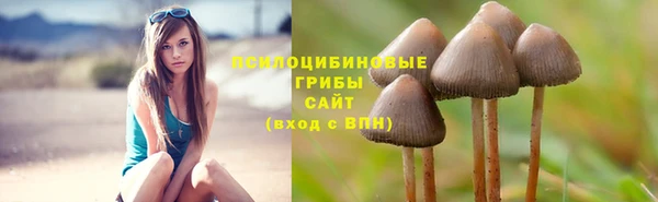 скорость Алексеевка